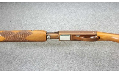 Remington ~ Model 572 Fieldmaster Buckskin Tan ~ .22 S, L or LR - Image 7 of 10