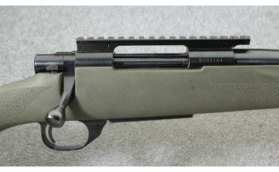 Howa ~ 1500 Hogue ~ .243 Win. - Image 3 of 10