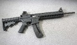 Smith & Wesson ~ M&P 15-22 ~ .22 LR - 1 of 10
