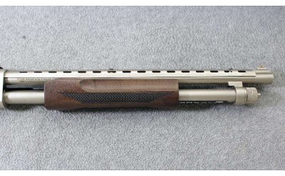 Citadel ~ Mariner ~ 20 Gauge - Image 4 of 10