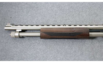 Citadel ~ Mariner ~ 20 Gauge - Image 6 of 10
