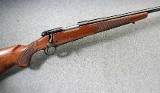 Winchester ~ Model 70 Sporter Varmint ~ .22-250 Rem - 1 of 10