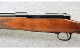 Winchester ~ Model 70 Sporter Varmint ~ .22-250 Rem - 8 of 10
