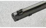 Henry Repeating Arms ~ Pump Action Octagon ~ .22 Magnum - 5 of 10