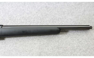 CZ ~ Model 455 Synthetic ~ .17 HMR - Image 4 of 10