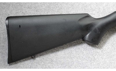 CZ ~ Model 455 Synthetic ~ .17 HMR - Image 2 of 10