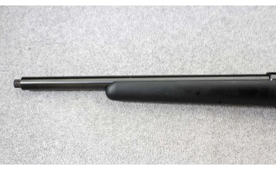 CZ ~ Model 455 Synthetic ~ .17 HMR - Image 6 of 10