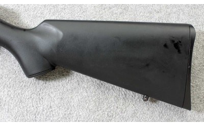 CZ ~ Model 455 Synthetic ~ .17 HMR - Image 9 of 10