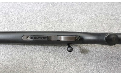 CZ ~ Model 455 Synthetic ~ .17 HMR - Image 7 of 10
