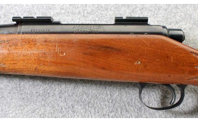 Remington ~ 700 ADL ~ .22-250 Rem. - Image 8 of 10