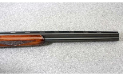 Nikko ~ Shadow ~ 12 Gauge - Image 4 of 11