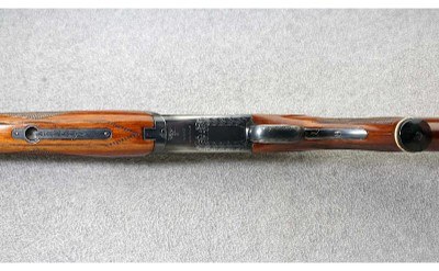 Nikko ~ Shadow ~ 12 Gauge - Image 7 of 11
