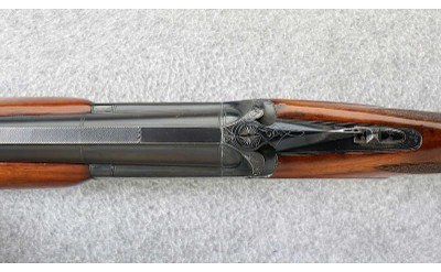 Nikko ~ Shadow ~ 12 Gauge - Image 9 of 11
