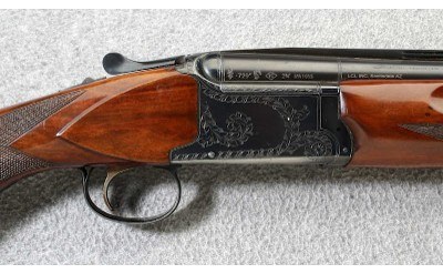 Nikko ~ Shadow ~ 12 Gauge - Image 3 of 11