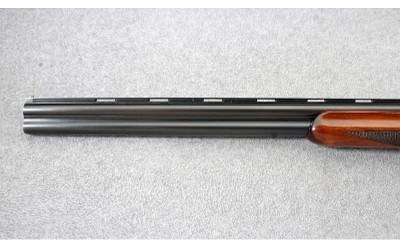 Nikko ~ Shadow ~ 12 Gauge - Image 6 of 11