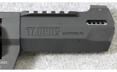 Taurus ~ Raging Hunter ~ .454 Casull - Image 6 of 7