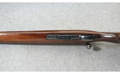 CZ ~ 452-2E ZKM American ~ .17 HMR - Image 7 of 10