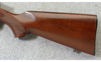 CZ ~ 452-2E ZKM American ~ .17 HMR - Image 9 of 10
