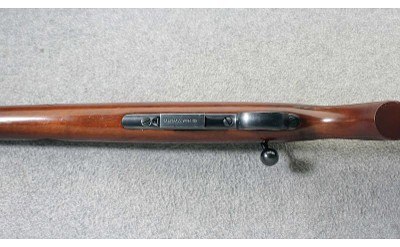 CZ ~ 452-2E ZKM American ~ .17 HMR - Image 7 of 10