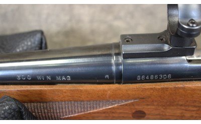 Remington ~ 700 ~ .300 Winchester Magnum - Image 15 of 16