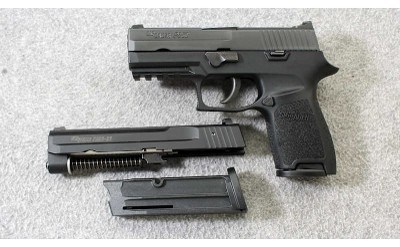Sig Sauer ~ P250 Compact with .22 LR Conversion Kit ~ .40 S&W - Image 2 of 3