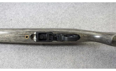 Ruger ~ 10/22 Target Model 01262 ~ .22 LR - Image 7 of 10