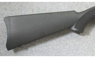 Ruger ~ 10/22 Model 01151 ~ .22 LR - Image 2 of 10