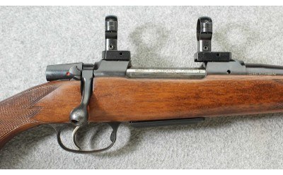 Brno CZ ~ 537 ~ .243 Winchester - Image 3 of 10