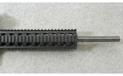 Smith & Wesson ~ M&P 15-22 Sport with Optic ~ .22 LR - Image 4 of 10
