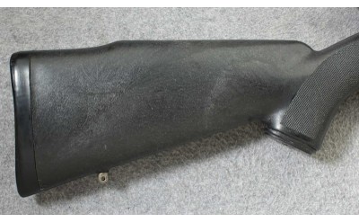 AMT ~ Lightning 25/22 ~ .22 LR - Image 2 of 10