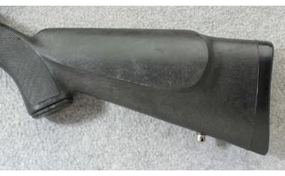 AMT ~ Lightning 25/22 ~ .22 LR - Image 9 of 10