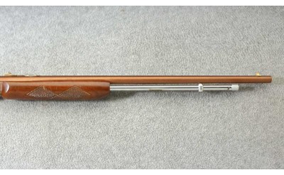 Remington ~ Model 572 Fieldmaster Buckskin Tan ~ .22 S, L or LR - Image 4 of 10