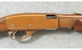Remington ~ Model 572 Fieldmaster Buckskin Tan ~ .22 S, L or LR - Image 3 of 10