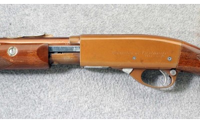 Remington ~ Model 572 Fieldmaster Buckskin Tan ~ .22 S, L or LR - Image 8 of 10