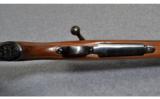 Winchester .22-250 w/ Leupold Scope - 3 of 7