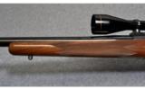 Winchester .22-250 w/ Leupold Scope - 5 of 7