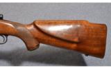 Winchester Pre 64 Model 70 .30-06 - 7 of 8