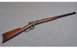 Winchester 1892 .25 - 20 Wcf. - 1 of 8