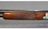 Browning Belgium Superposed Pigeon Grade Engraved 12 Ga. - 7 of 9