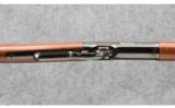 Winchester 1886 .45-70 Gov. - 9 of 9