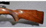 Winchester Model 70 .30-06 Sprg. - 7 of 8