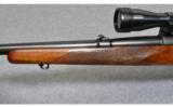 Winchester Model 70 .30-06 Sprg. - 6 of 8