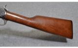 Winchester Model 1906 .22 Lr. - 7 of 8