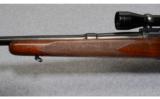 Winchester Model 70 .270 Win.1937 - 6 of 8
