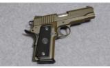 Para Ordnance ~ Model P 13 - 45 ~ .45 ACP - 1 of 2