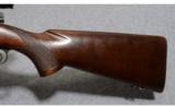 Winchester ~ Model 70 ~ .270 WCF - 7 of 9
