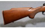 Winchester ~ Model 70 Sporter Varmint ~ .22-250 Rem. - 5 of 8