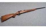 Winchester ~ Model 70 Sporter Varmint ~ .22-250 Rem. - 1 of 8