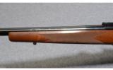Winchester ~ Model 70 Sporter Varmint ~ .22-250 Rem. - 6 of 8
