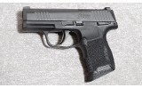 Sig Sauer P365 Pistol, .380 Auto, 3 1/8 Inch Barrel, 1 lb. - 1 of 6